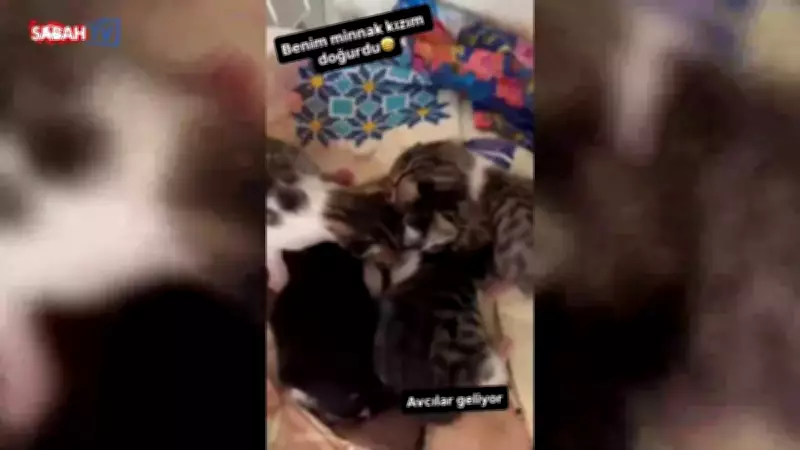 Nurgül Yeşilçay'dan Mutlu Haber: Kızı Anne Oldu!