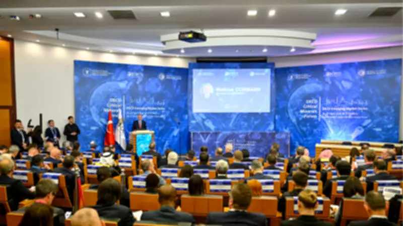 OECD Kritik Mineraller Forumu İstanbul'da Gerçekleşti