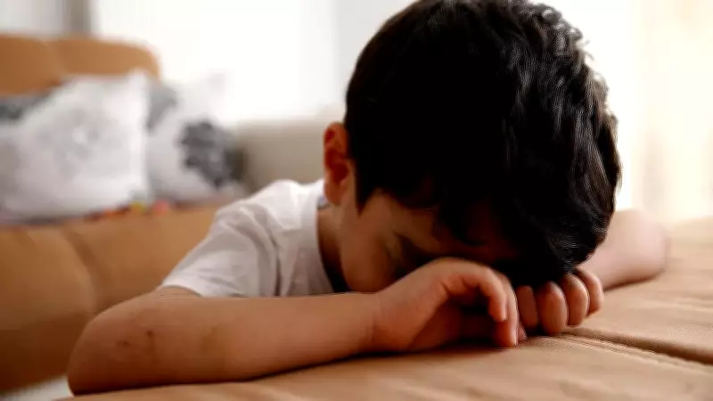 Okullardaki Öğrenci Şiddetinin Arkasındaki Karmaşık Nedenler ve Çözüm Önerileri