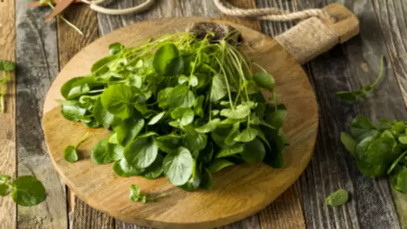 Ot Diye Geçtiğimiz Sebze, 47 Sebze Arasında Tam Puanla Birinci Oldu!