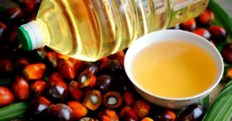 Palm ve Soya Yağı Arasındaki Fiyat Makası 25 Yılın Zirvesine Çıktı