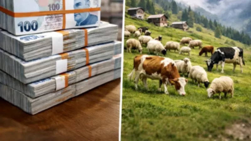 Patnos'ta Çoban Krizi: 120 Bin Lira Maaşlara Rağmen Kimse Çalışmıyor