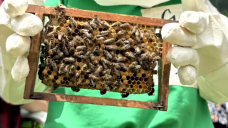 Prof. Kandemir: 'Arı Yoksa Tarım, Gıda ve Hayat Yok'