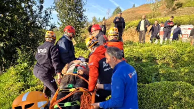 Rize'de hafif ticari araç çay bahçesine devrildi: Sürücü yaralı