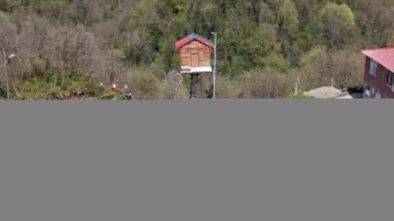 Rize'de Çocukluk Hayali Gerçek Oldu: 7 Metre Yükseklikte Ağaç Ev İnşa Etti