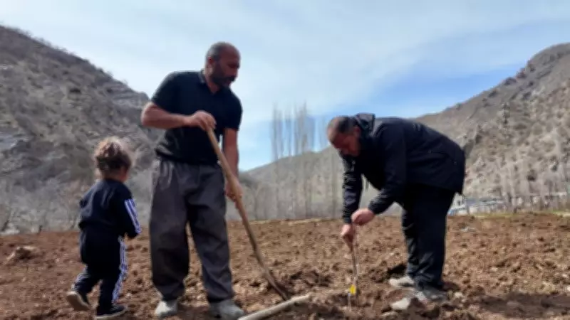Şırnak'ta Çiftçi Devlet Desteğiyle Meyve Bahçesi Kurdu