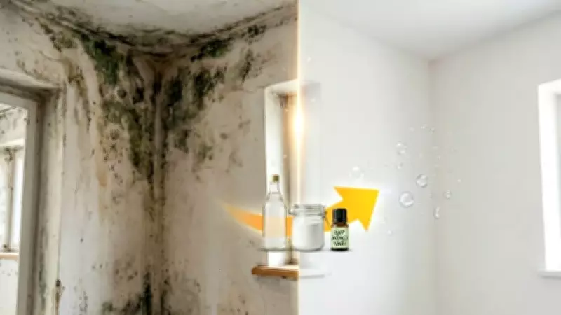 Rutubet kokusu ve lekesine veda! Çözüm mutfakta