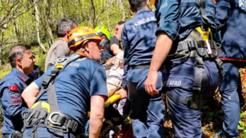 Samsun'da kayalıklardan düşen kişi yaralandı