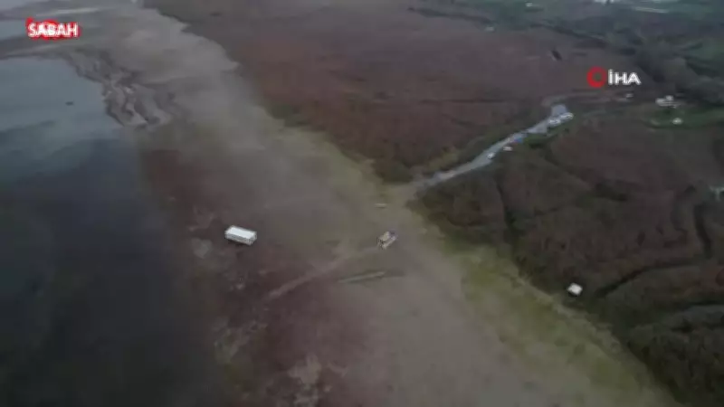 Sapanca Gölü'nde sular çekildi, gizemli ada yeniden ortaya çıktı