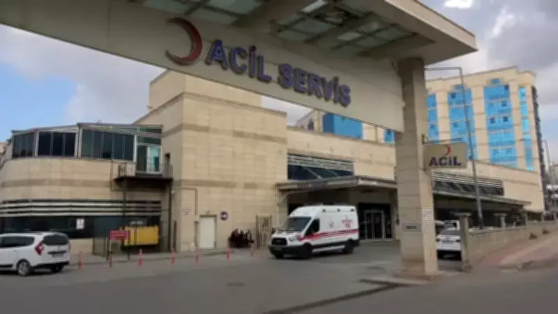 Siirt'te Ağaç Budarken Yaralanan Yaşlı Adam Ambulansta Hayatını Kaybetti