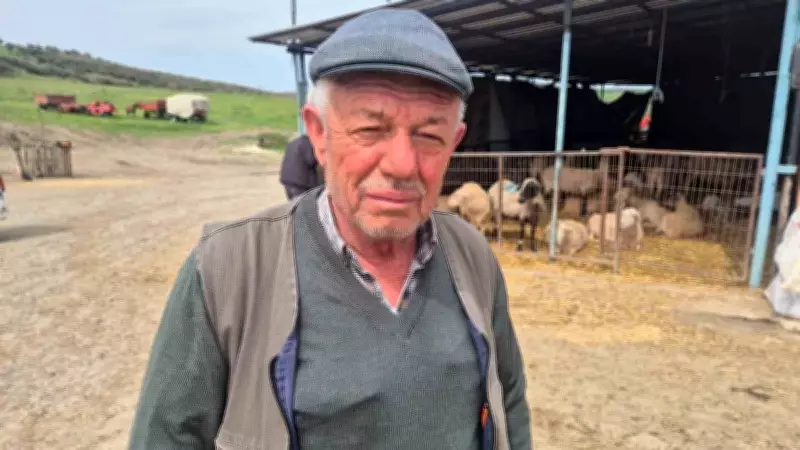 Silivri'de Kurbanlık Parası Çalınan 70 Yaşındaki Çiftçi, Kahvede İçirilen İçecekle Uyutulduğunu İddia Etti