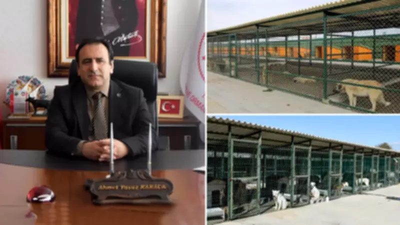 Sokak Köpeği Sayısı 1.25 Milyon, Toplama Oranı Yüzde 78'e Ulaştı