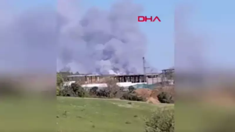 Son Dakika: Beykoz'da Orman Yangını Çıktı, Müdahale Sürüyor