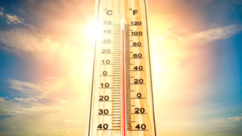 Süper El Nino Geliyor: Türkiye'yi Nasıl Etkileyecek?