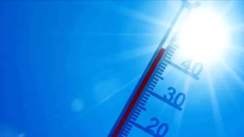 Süper El Niño 2026'da Geliyor: Türkiye'yi Nasıl Etkileyecek?