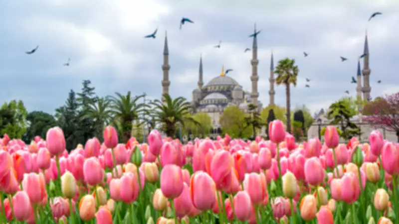 İstanbul Lale Festivali Başladı: Emirgan'dan Sultanahmet'e Renk Cümbüşü