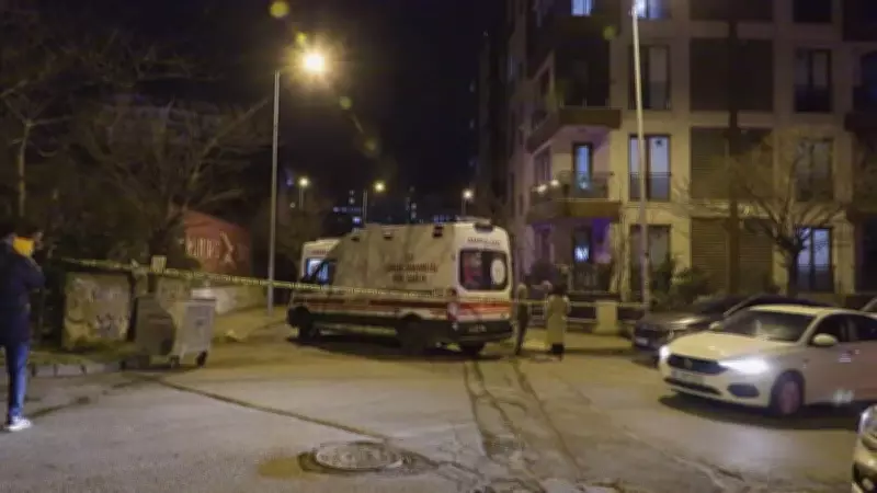İstanbul'da Korkunç Cinayet: Serdar Hepgülnar, Annesi ve Abisini Öldürdü