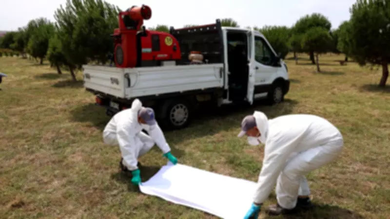 İstanbul'da Sivrisinekle Mücadele: 264 Bin Üreme Noktası Kontrol Altında