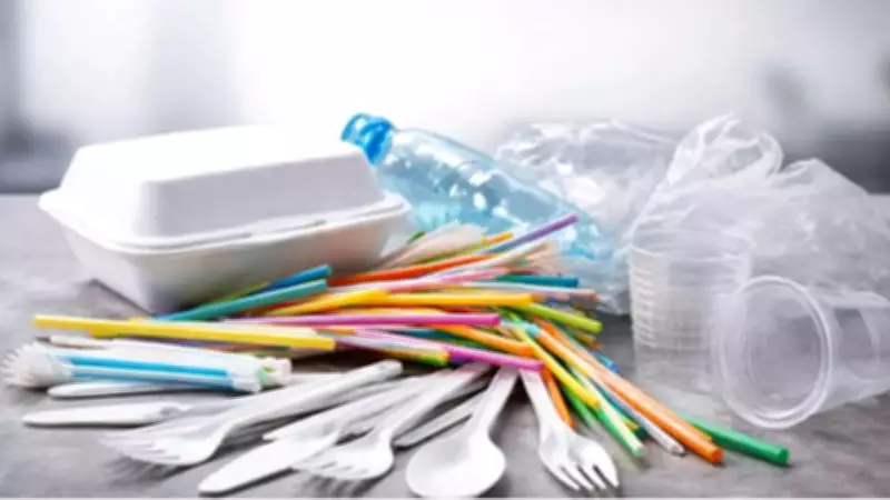 Tek Kullanımlık Plastikler Yasaklanıyor mu? 11 Mart Taslağı Detayları Açıklandı