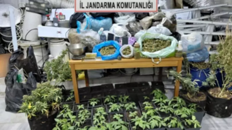 Tekirdağ'da Kaçak Elektrikle Uyuşturucu Serası Kuran Şüpheli Tutuklandı