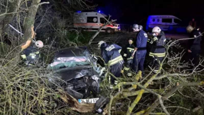 Tekirdağ'da Trajik Kaza: Otomobil Ormanlık Alana Devrildi, 1 Kişi Hayatını Kaybetti