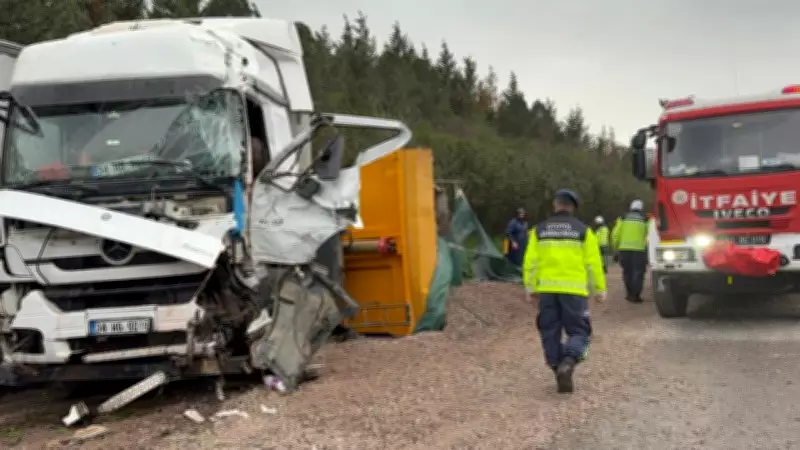 TEM Otoyolu'nda Zincirleme Kaza: LPG Tankeri ve Tırlar Karıştı, 2 Can Kaybı