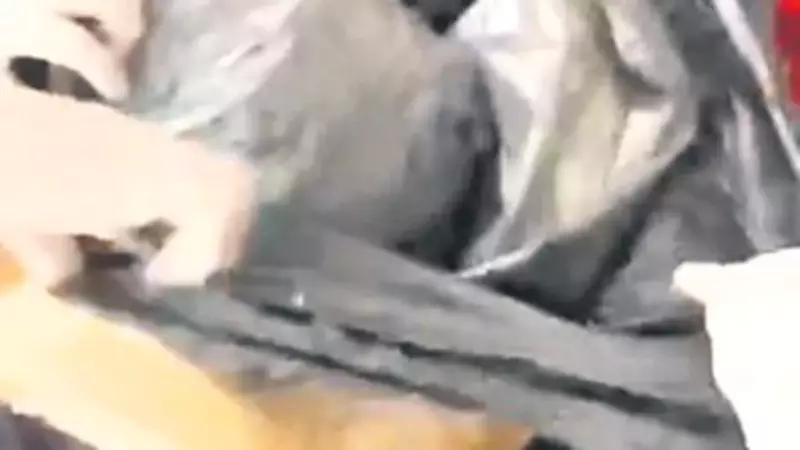 Torbacının Evinde Yapılan Aramada 5 Kilogram Esrar Ele Geçirildi