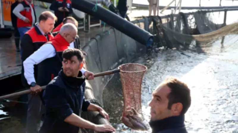 Türk Somonu İhracatında İlk Çeyrekte Büyüme: 91 Milyon Dolar Gelir