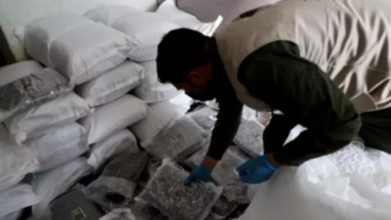 Türkiye ve Suriye'den ortak uyuşturucu operasyonu: 300 milyon TL