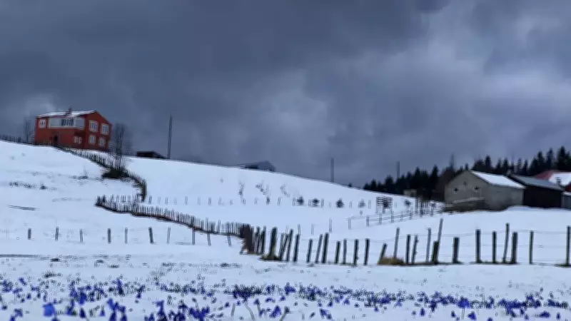 Türkiye'de Bahar Hayali Karda Kaldı: Birçok İlde Kar Yağışı Yeniden Kışı Getirdi