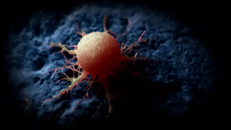 Türkiye'de Kan Kanseri Tedavisinde Çığır Açan Gelişme: CAR-T Tedavisi Başarıyla Uygulanıyor