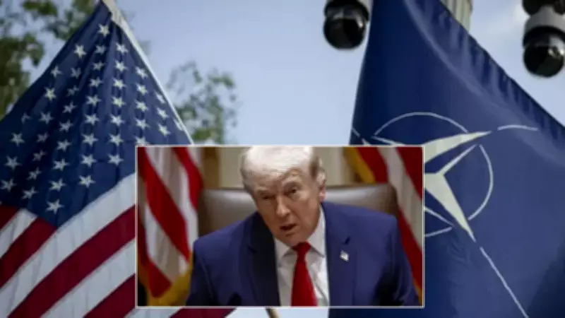 Trump NATO'yu 'Kağıttan Kaplan' İlan Etti, İngiltere'yi Donanmasız Suçladı