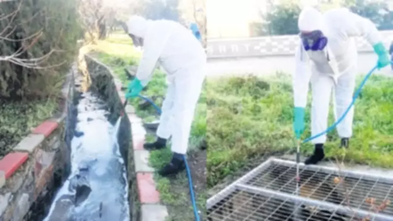 Turizmde Sivrisineğe Geçit Yok: 9 İlde Kapsamlı Temizlik Seferberliği