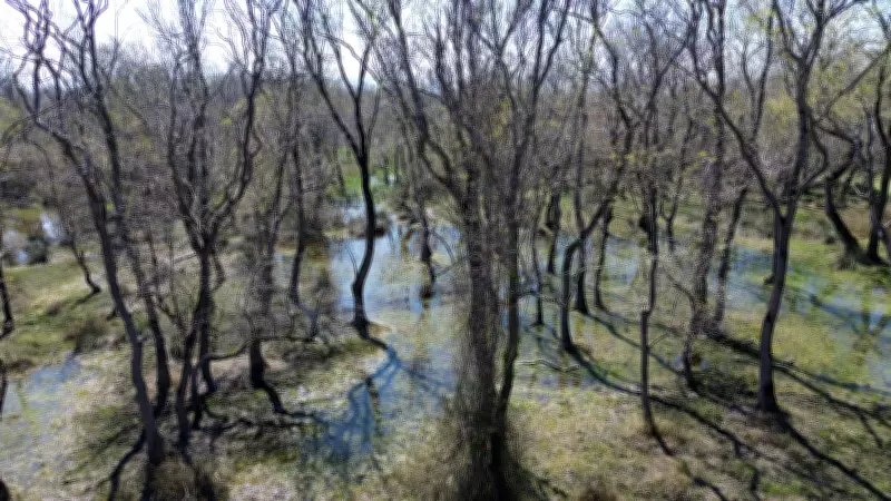 UNESCO Listesindeki Kızılırmak Deltası Yağışlarla Canlanıyor