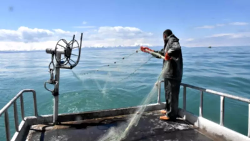 Van Gölü'nde Av Yasağı Öncesi Balıkçılar Son Ağlarını Atıyor