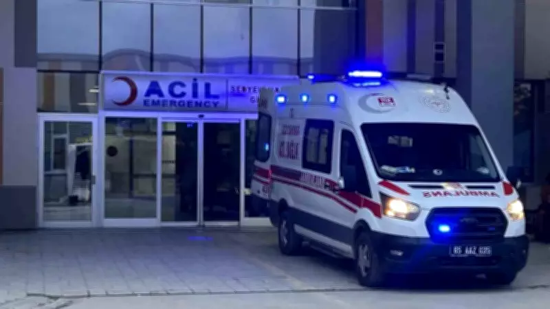 Van'da başıboş köpeklerin saldırdığı 5 yaşındaki çocuk hayatını kaybetti