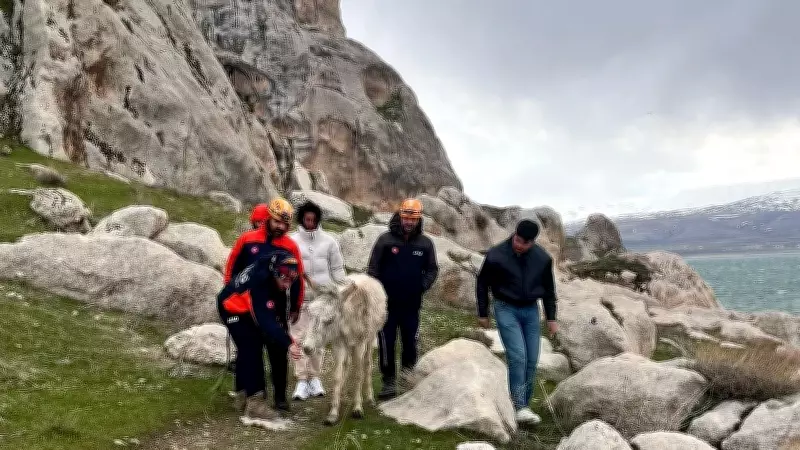 Van'da Kayalıklarda Mahsur Kalan Eşek, İtfaiye Ekiplerince Kurtarıldı