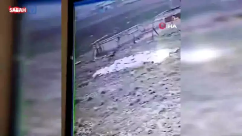 Van'da köpek saldırısında 1 çocuk öldü, 1 yaralı: Güvenlik kamerası görüntüleri ortaya çıktı