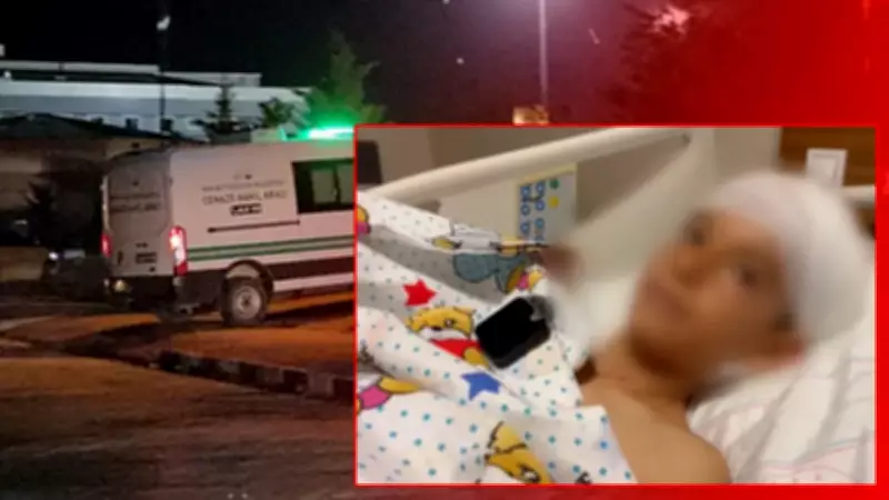 Van'da sokak köpeği dehşeti: Küçük Hamza hayatını kaybetti, Ayaz anlattı