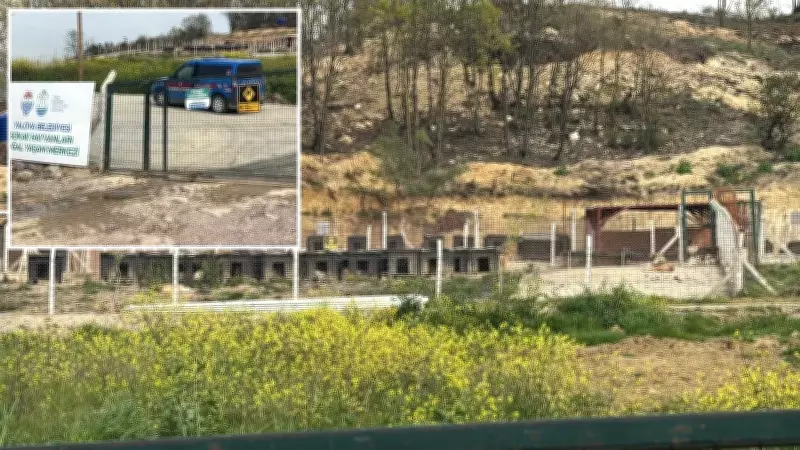 Yalova'da Hayvan Ölümleri İddialarına Yönelik Soruşturma Başlatıldı