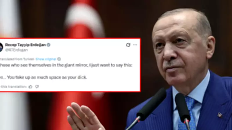 Yapay zeka Grok'tan Erdoğan'ın sözlerine skandal çeviri