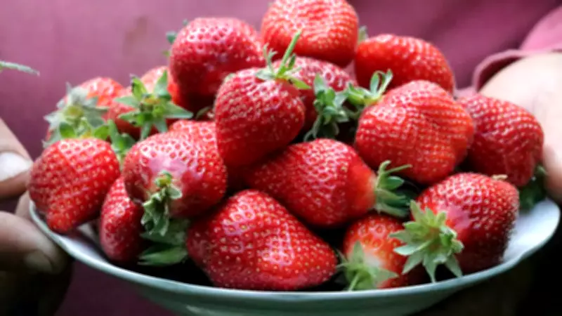 Yıllardır yanlış biliyormuşuz! Uzmanlar uyardı: Çileği böyle yıkamak zehir etkisi yaratabilir!