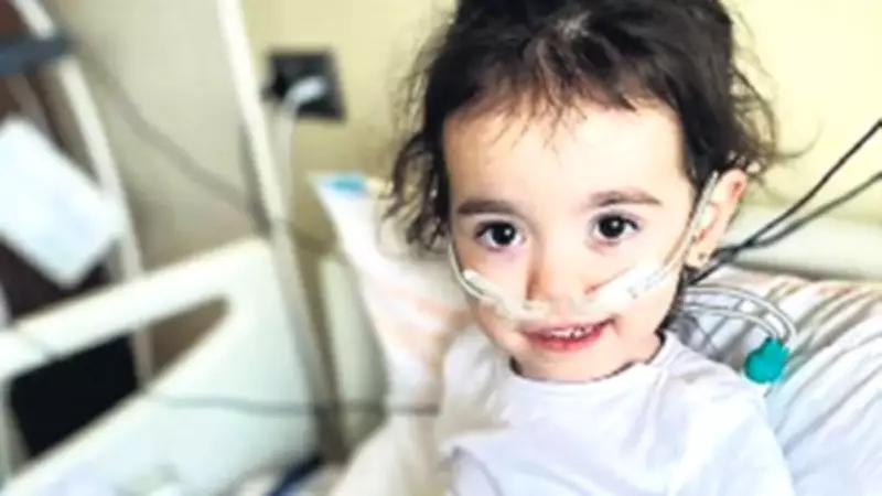 Zeynep'in Hayat Mücadelesi İçin Zaman Hızla Tükeniyor