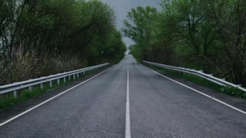 Zeytin çekirdeğinden asfalt: Karbon ayak izi yüzde 75 azalıyor