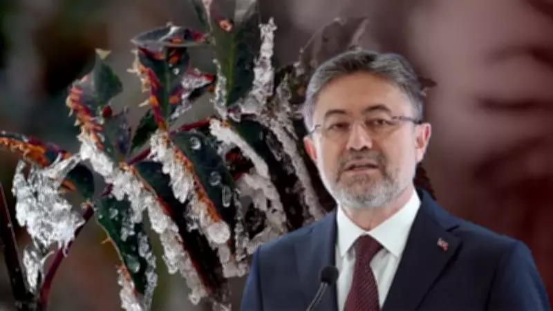 Zirai Don Riski Yok: Bakan Yumaklı'dan Gıda Arz Güvencesi ve Market Rafı Açıklaması