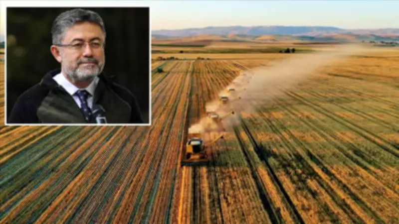 Zonguldak Çaycuma Sera OTB Üretime Başladı: 1000 Kişiye İstihdam