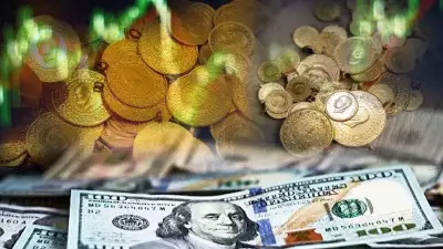 Altın ve Döviz Geride Kaldı: Yatırımcılar Fonlara Akın Etti, Büyüklük 8,7 Trilyon Liraya Ulaştı