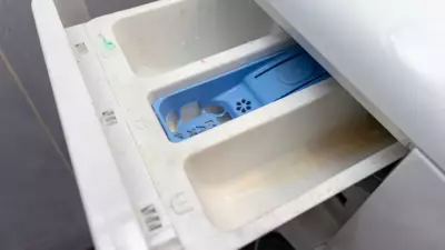 Çamaşır Makinesinin Gizli Gözü: İşlevini Öğrenince Şaşıracaksınız