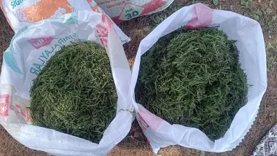 Antakya'nın şifalı mirası tüm dünyanın peşinde: Sofrasından eksik etmeyen yaşadı