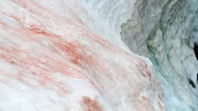 Antarktika'daki 'Kan Şelalesi' Gizemi Çözüldü: Basınç Değişimleri Nedeni